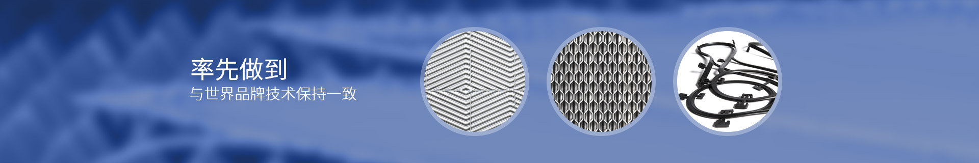 瑞普特，率先做到與世界品牌技術(shù)保持一致